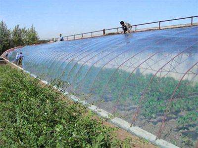 大棚膜